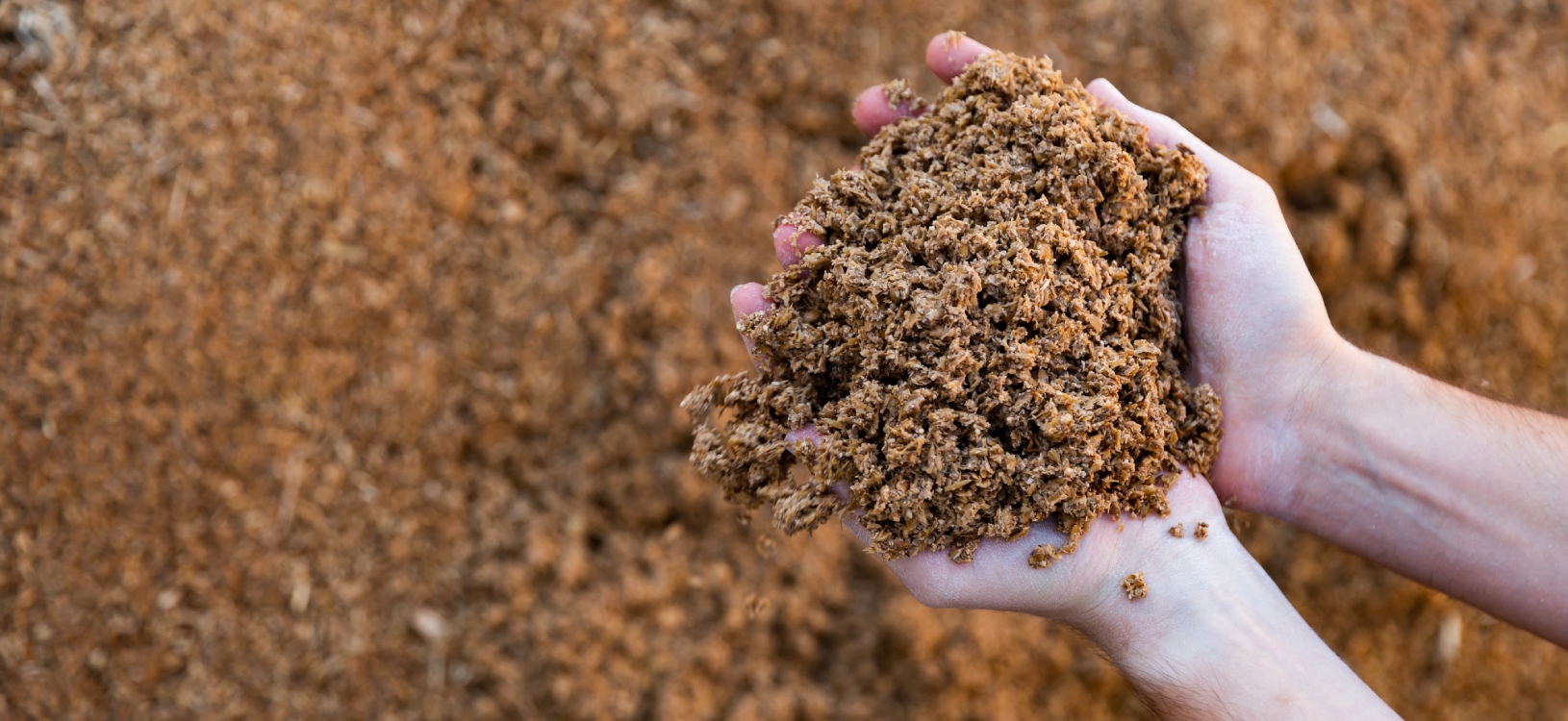 Reciclagem de <strong>proteínas de alta qualidade</strong>